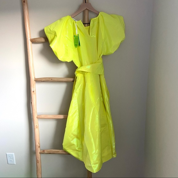 Christopher John Rogers Puff Sleeve Volume Dress - Picture 8 of 12